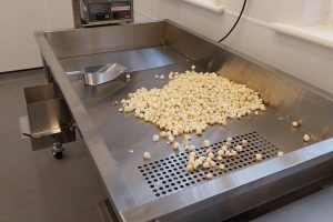 Popcorn in tray with scooper